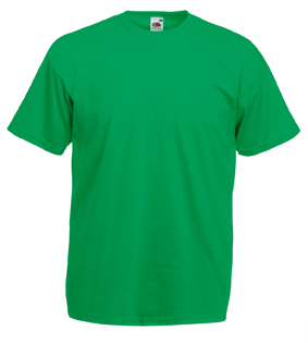 F61036 Valueweight T Adult – Kelly Green 47 – Hollow
